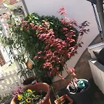 Appartement Doreen Nieswand *