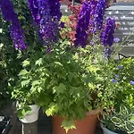 Apartman Doreen Nieswand Gamstadt