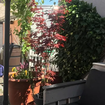 Doreen Nieswand Gamstadt