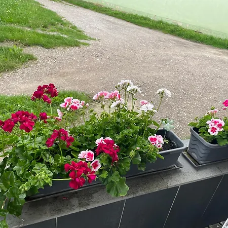 Doreen Nieswand דירה *