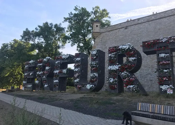 Doreen Nieswand Gamstadt