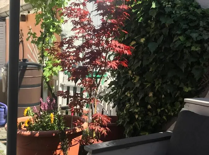 Doreen Nieswand Gamstadt