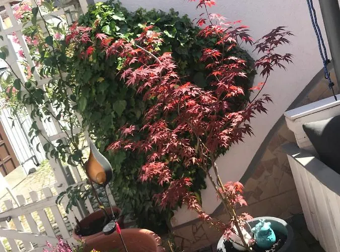 Apartament Doreen Nieswand *