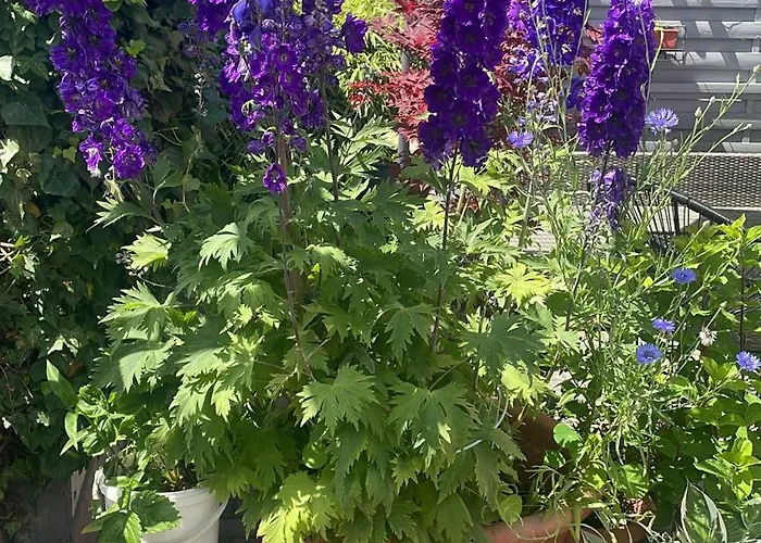 דירה Doreen Nieswand Gamstadt