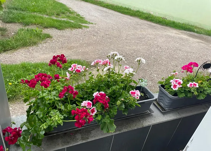 Doreen Nieswand דירה *